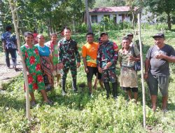 Lestarikan Lingkungan, Pos Inbate Satgas Yonkav 6/Naga Karimata Tanam Pohon Kelor dan Pohon Pisang Bersama Masyarakat