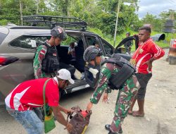 Ciptakan Stabilitas Keamanan, Satgas Yonif 122/TS Pos Wembi Gelar Pemeriksaan di Jalan Lintas Trans Papua