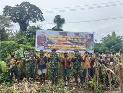 Pemanfaatan lahan kosong, cara Satgas Yonif 122/TS sejahterakan Ekonomi masyarakat di wilayah perbatasan RI – PNG