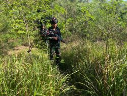 Jaga Keamanan dan Kedaulatan, Pos Nilulat Satgas Yonkav 6/Naga Karimata Laksanakan Patroli Jalan Tikus