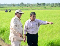 Presiden Prabowo Subianto Tinjau Program Pertanian Berkelanjutan di Merauke untuk Dorong Produktivitas Pangan di Papua