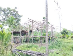 Hadir Di Tengah Kesulitan Masyarakat Di Perbatasan, Satgas Yonif 122/TS Bantu Masyarakat Kampung Pund Bangun Rumah wujud Kemanunggalan TNI dengan rakyat