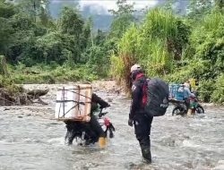 Cerita Kawal Logistik Pemilu 2024 Melintasi kawasan hutan Eks Aktifitas MIT Poso