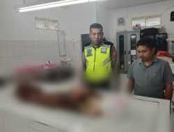 Unit Gakkum Sat Lantas Polres Simalungun Tangani Kasus Laka, Tragedi di Pagi Cerah : Gadis Kecil Tewas Terlindas Pick Up