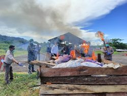 Berikan Peringatan keras kepada Pelanggar Batas, Satgas Yonif 122/TS Musnahkan 650 Kg Pinang Hasil penyelundupan dari Papua Nugini