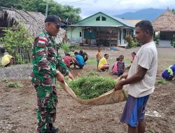 Bangun Atap Gereja, Pos Baen Satgas Yonkav 6/Naga Karimata Laksanakan Gotong Royong Bersama Masyarakat