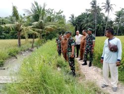 Wujudkan Hanpangan, Dandim 0204/DS Tinjau Optimalisasi Lahan Pertanian di Tj Beringin