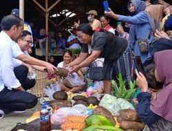 Tinjau Harga Bahan Pokok di Banggai Kepulauan, Jokowi Kunjungi Pasar Salakan