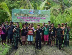 Pemanfaatan Lahan Kosong mengelola ketahanan pangan Wujud Satgas Yonif 122/TS mensejahterakan masyarakat di wilayah perbatasan