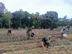 Pelopori program ketahanan Pangan di Distrik Passue Bawah, Satgas Yonif 125/SMB Ajari Masyarakat Berkebun