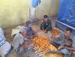 Berikan Pengetahuan Kepada Masyarakat, Pos Baen Satgas Yonkav 6/Naga Karimata Sosialisasikan Ketahanan Pangan Jagung