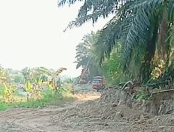 Meski diberitakan, Kapolsek Pantai Labu Kebal Hukum