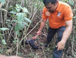 Polres Simalungun Selidiki Kasus Bayi yang Ditemukan Terlantar di Kebun Teh Sidamanik