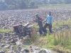 Dukung Hanpangan, Babinsa Koramil 0204-08/PC Ikut Membajak Sawah Petani