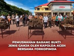 Pemusnahan Barang Bukti Jenis Ganja Oleh Kapolda Aceh Bersama Forkopimda