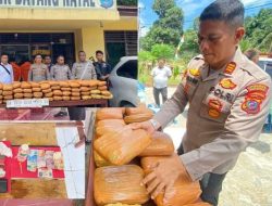 Amankan Ratusan Kilogram Ganja di Mandailing Natal