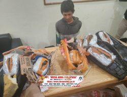 Kodim 0201/Medan dan Polrestabes Medan Gagalkan Pengiriman 5,7 Kg Ganja ke Luar Provinsi