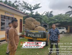 Polsek Tanah Jawa Gerebek Arena Sabung Ayam di Huta I Sigaol, Simalungun, Amankan Barang Bukti, Pelaku Melarikan Diri