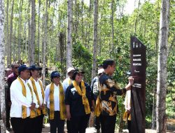 Presiden Jokowi Lakukan Peninjauan Sekaligus Pencanangan Kawasan Wanagama di IKN