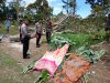 Saat Berlibur di kebun durian miliknya, satu keluarga di timpa pohon tumbang