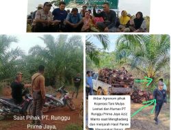 Masyarakat Petani Indragiri Hulu, Minta Presiden Indonesia dan Pemerintah Pusat Perhatikan Petani yang Tertindas