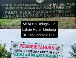 IJUSU Minta Polri, Kejagung dan KPK Usut Jual Beli Lahan Hutan Lindung di Kabupaten Indragiri Hulu