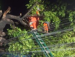 Polsek Kembangan Tanggap Aduan Warga Adanya Pohon Tumbang di Jalan Manunggal Meruya Selatan