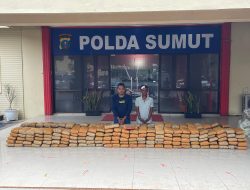 Polda Sumut Gagalkan 272 Kilogram Ganja Asal Aceh