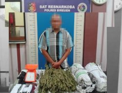 Polres Bireuen Tangkap Pelaku Pengedar Narkotika, 3000 Gram Ganja Kering Disita