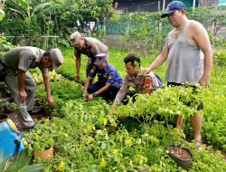 Bhabinkamtibmas Kota Bambu Selatan Cek Tanaman Pangan Warga, Perkuat Ketahanan Pangan Lokal