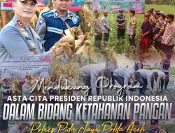 Kapolres Pidie Jaya Dukung Program 100 Hari Kerja Presiden dengan Penanaman dan Panen Jagung di Bandar Dua