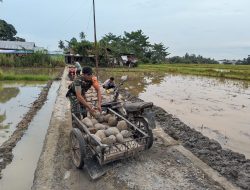 Kamis Tagana, Babinsa Sei Rampah Bantu Wrga Benahi Jalan Desa Pematang Ganjang