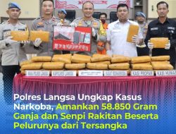 Polres Langsa Ungkap Kasus Narkoba, Amankan 58.850 Gram Ganja dan Senpi Rakitan Beserta Pelurunya dari Tersangka