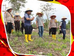 Dukung Asta Cita, Karo SDM Polda Aceh Tinjau Lahan Produktif di Aceh Barat