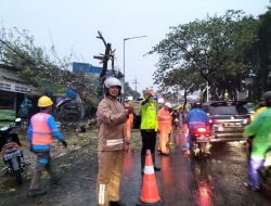 Kolaborasi Polsek Kembangan, Koramil, PPSU, dan PLN Respon Cepat Tangani Pohon Tumbang di Jalan Raya Joglo