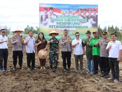 Jalankan Program Ketahanan Pangan, Kapolres Dairi Tanam Bibit Jagung Seluas 1 Hektar