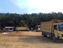 Satgas Inti Prabowo Kecam Perusahaan Perusak Hutan, Desak Negara Bertindak Tegas