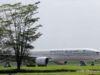 Pendaratan Darurat di Kualanamu Medan, Pesawat Saudi Airlines Dilakukan Setelah Pilot Menerima Informasi Mengenai Adanya Ancaman Bom