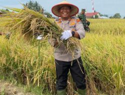 Polri Untuk Masyarakat : Kapolres Simalungun Wujudkan Ketahanan Pangan Menuju Swasembada Nasional