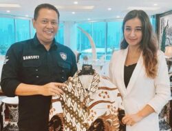 Artis dan Aktivis Organisasi, Politisi Partai PDI – P Berinisial SI Terancam Dilaporkan Polisi, Terkait Dugaan Penipuan dan Penggelapan