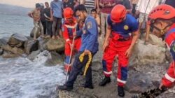 Buaya Muara 2 Meter Berhasil Dievakusi Damkar di Tipo
