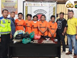 Polres Simalungun Bongkar Jaringan Narkoba 2,5 Kg Ganja di Kawasan Wisata Danau Toba