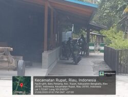 Dugaannya, Gudang Kayu Ilegal di Rupat Libatkan Oknum Babinsa TNI