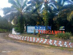 Manager PTPN IV Regional 1 Torgamba Menuai Polemik Dalam Mutasi Karyawan, Diduga Tidak Profesional