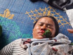 Kronologis penyerangan pekerja PT. TPL ke Masyarakat Adat Sihaporas