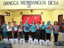Temui Kader PKK dan Posyandu di Kabupaten Ngada, Yane Bima Tekankan Pentingnya Pemberian Imunisasi Dasar