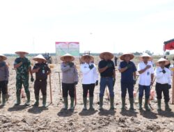 Polres Simalungun Ikut Penanaman Jagung Serentak Kuartal IV 2025, Kapolri dan Wapres Gibran Pimpin Secara Virtual