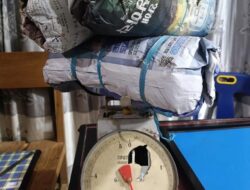 Lagi, Polres Bener Meriah Ringkus Pengedar Ganja 2,3 Kilogram BB Berhasil di Amankan