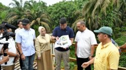 Bangun Kembali Tujuh Jembatan Penghubung Destinasi Wisata Langkat, Bobby Nasution Dorong Pemkab Ambil Alih