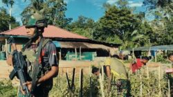 Satgas Pamtas RI – PNG Yonif 763/SBA Pos Kokoda Berbagi Hasil Panen Kepada Masyarakat